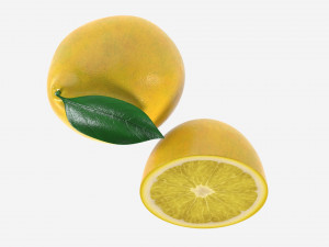 Fresh lemon with slice and leaf 02 Modelo 3D
