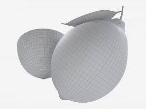 Fresh lemon with slice and leaf green 3D Model