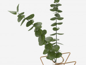 Glass hydroponic vase 01 3D मॉडल