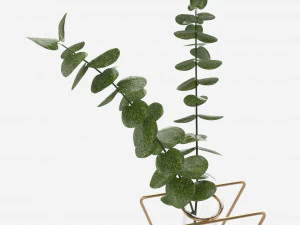 Glass hydroponic vase 01 3D Model