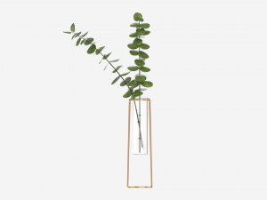 Glass hydroponic vase 01 3D मॉडल