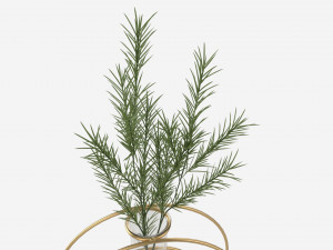 Glass hydroponic vase 02 3D Model