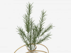 Glass hydroponic vase 02 3D Model