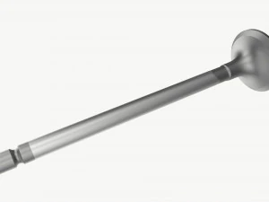 Internal combustion engine valve 3D Model