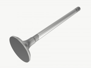 Internal combustion engine valve Model 3D