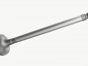 Internal combustion engine valve 3D Model