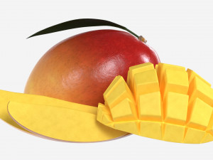 Mango 01 Model 3D