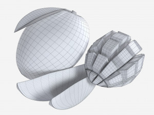 Mango 01 Model 3D