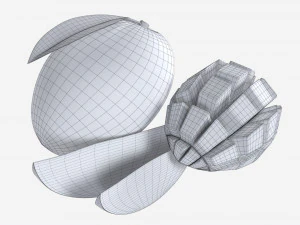 Mango 01 3D Model