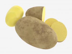 Potato whole half and slices 02 3D Model