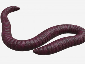 Red worm 01 3D Model