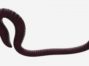 Red worm 01 3D Model