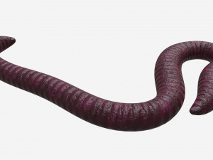 Red worm 01 3D Model
