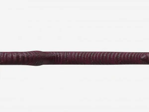 Red worm 01 3D Model