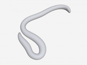 Red worm 01 3D Model