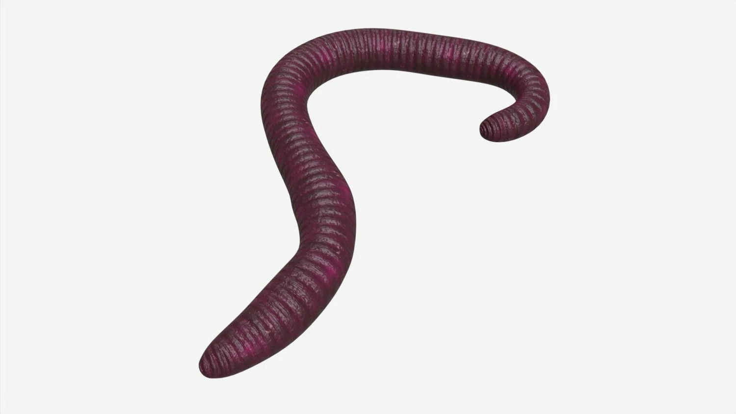 gusano rojo 02 Modelo 3D .c4d .max .obj .3ds .fbx .stl .blend 