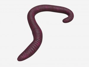 Red worm 02 3D Model