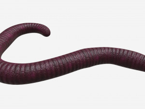 Red worm 02 Modelo 3D