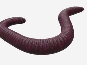 Red worm 02 Modelo 3D
