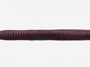 Red worm 02 Modelo 3D