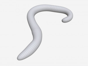 Red worm 02 Modelo 3D
