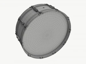 Scotch Drum 6x26 3D Model