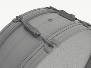 Scotch Drum 6x26 3D Model