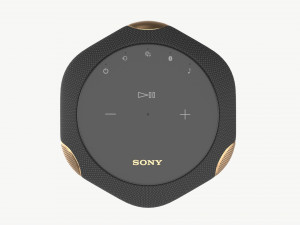 SONY Reality Audio Speaker 360 3D 模型