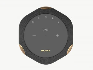 SONY Reality Audio Speaker 360 3D Model