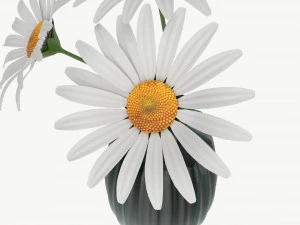 Vase with daisies 3D Model