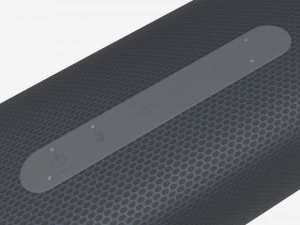 Sony Portable Wireless Speaker SRS-XB43 3D Model
