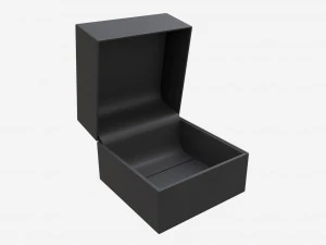 Wristwatch Box with Pillow 3D Model
