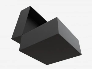 Wristwatch Box with Pillow 3D Model