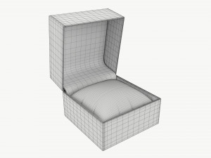 Wristwatch Box with Pillow 3D Модель