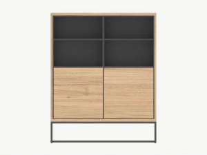 Cabinet with shelves 01 3D Model