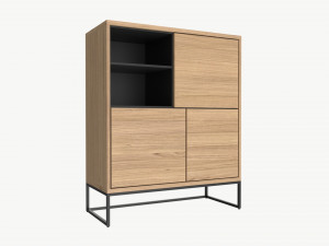Cabinet with shelves 02 3D Model