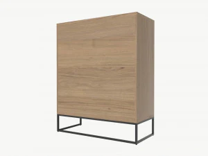 Cabinet with shelves 02 3D Model
