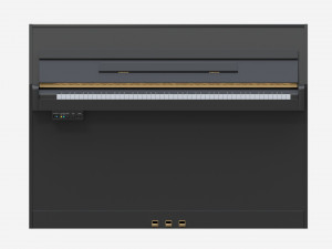 Digital piano musical instruments 06 Model 3D