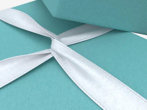 Jewelry Box with Rings and Ribbon open 3D Model