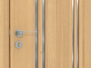 Modern Wooden Interior Door with Furniture 001 3D Model