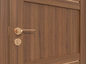 Modern Wooden Interior Door with Furniture 015 3D Model
