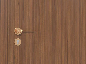 Modern Wooden Interior Door with Furniture 016 3D Model