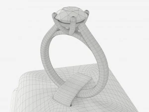 Suporte para display de couro anelar 02 Modelo 3D