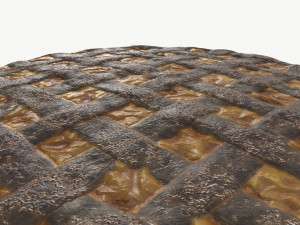 Apple Pie burned with Plate 3D 模型
