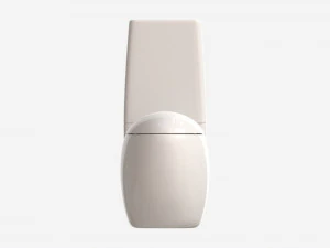 Laufen Ilbagnoalessi Floorstanding WC Rimless 3D Model