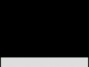 Electric Fireplace Silverton 48 3D Model