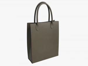 Vrouwen leren draagtas 3D Model