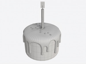 Birthday Cake With One Candle 3D Model