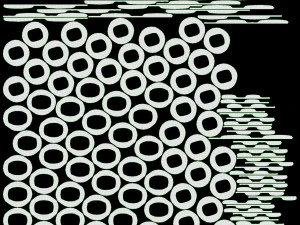 Chap&eacute;u de cowboy para mulheres Modelo 3D