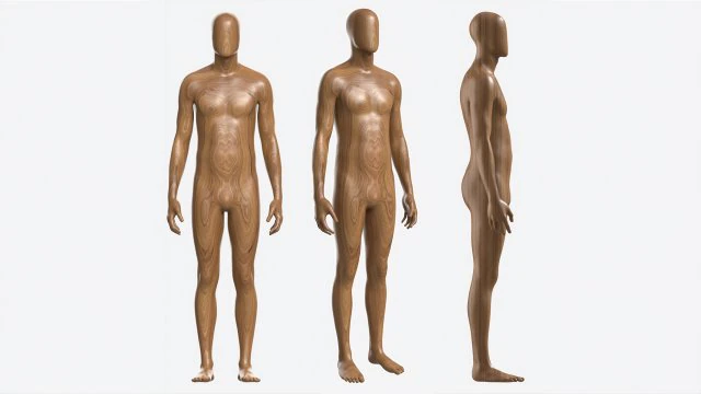 Manekin Seluruh Tubuh Pria dari Kayu Model 3D .c4d .max .obj .3ds .fbx .stl .blend 